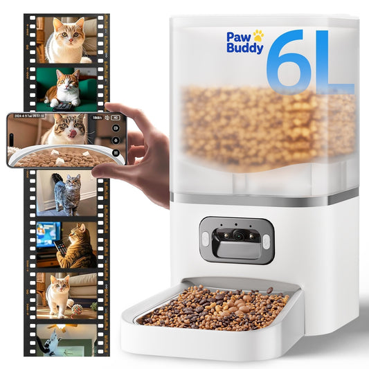 Automatic Cat Feeders: Are They Really Worth It?